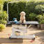 Table de toilettage hydraulique robuste pour chien Z-Lift