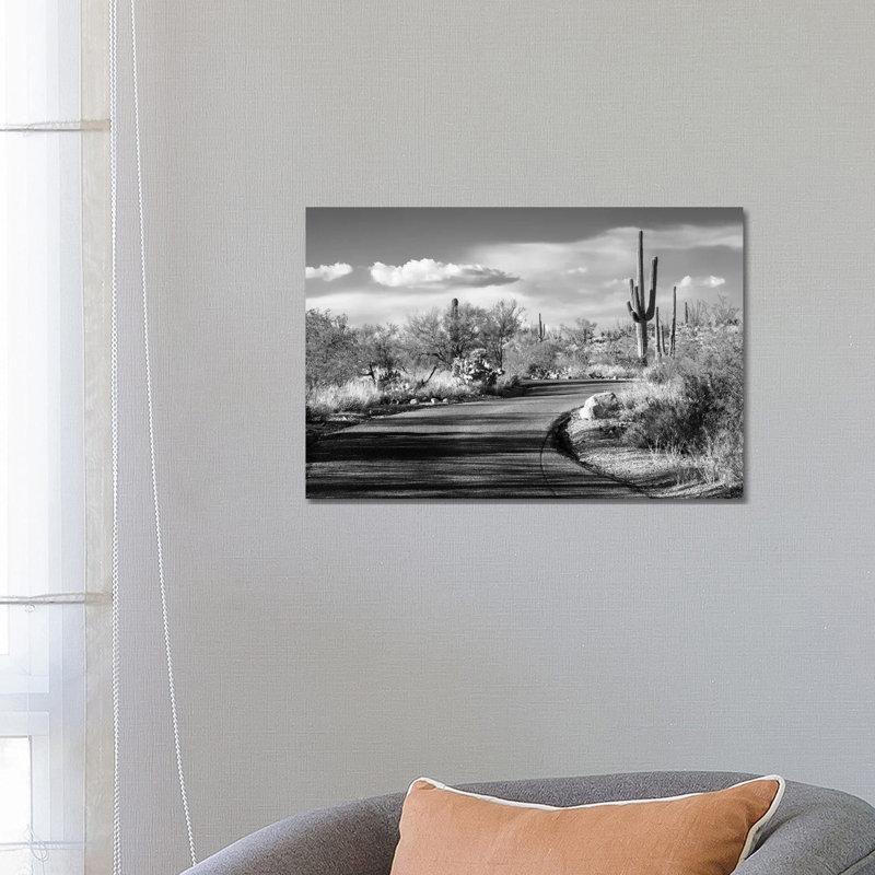 Desert Road - Wrapped Canvas Print, 66.04 cm H x 45.72 cm W x 3.175 cm D