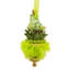 Ornement de grenouille 6,25 pouces Kurt Adler