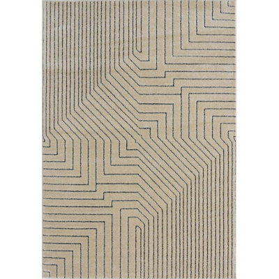 Neace Contemporary Sawgrass Basket Area Rug