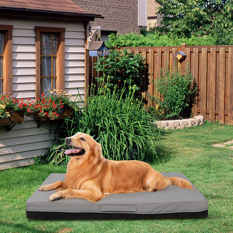 Tapis de lit pour chien en mousse à mémoire de forme Jumbo, Petit (l 36,2 po x P 27,2 po x H 3,4 po)