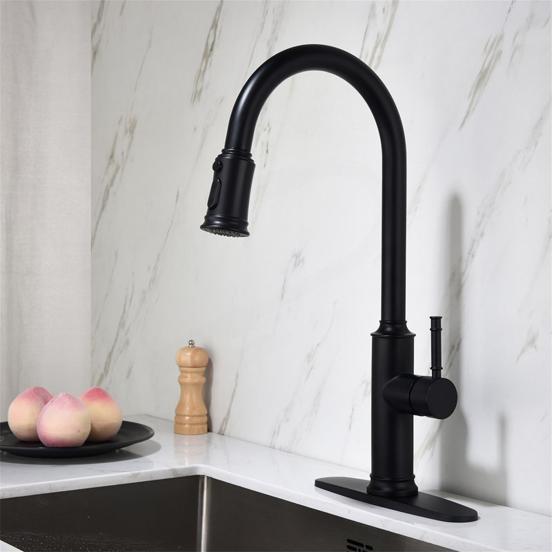 Kitchen Faucet With Pull Out Spraye