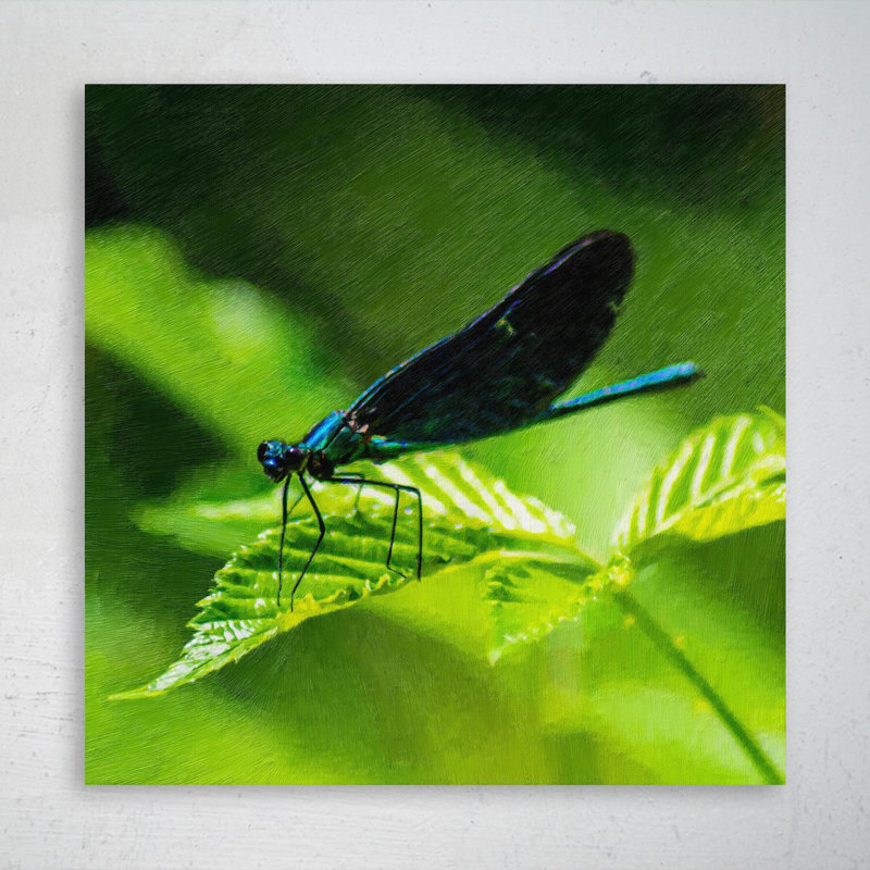 "Blue Damoustly" perché sur une feuille verte en gros plan, photographie pendant la journée - 1 pièce, reproduction d'art graphique carré sur toile tendue