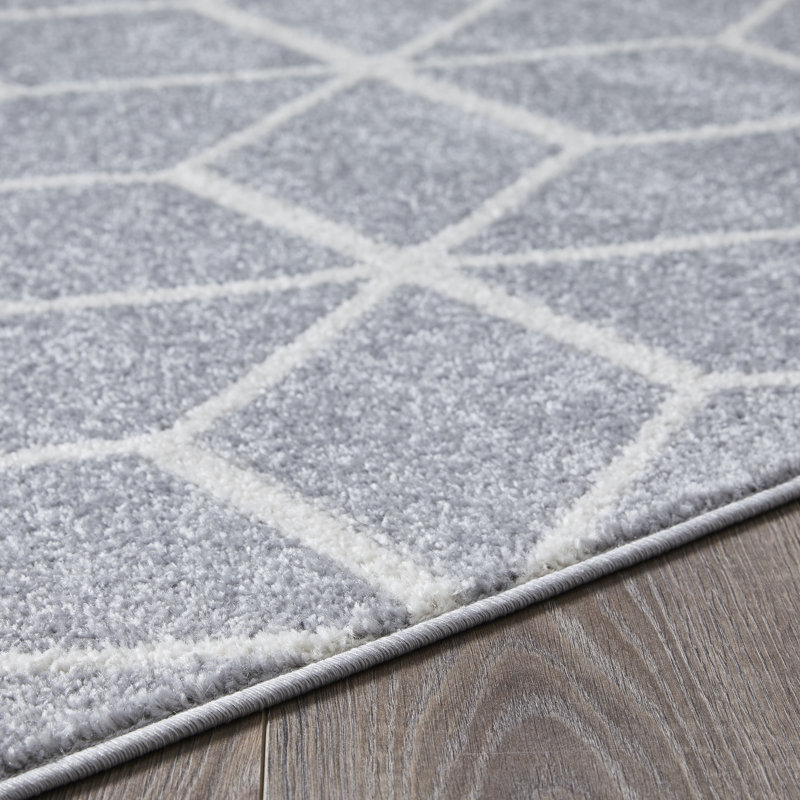 Tapis gris Jakavious Beraddo, Rectangle 5 pi 3 po x 7 pi 3 po