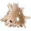 Nantucket Wood Decorative Bowl