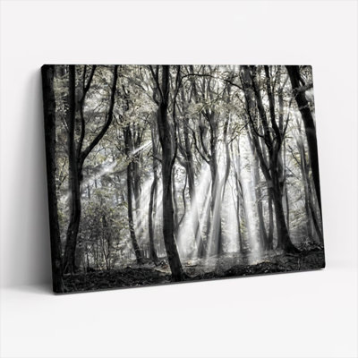Ensemble de 1 tableau mural sur toile tendue « Rayon de lumière en forêt »
