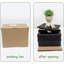 Plantes succulentes artificielles pour salle de bain