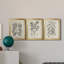 Antique Black and White Botanical VII - Ensemble de 3 peintures sur toile encadrées-1460172374-1460172375