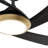 Vespucci 52'' Ceiling Fan with LED Lights-112461114