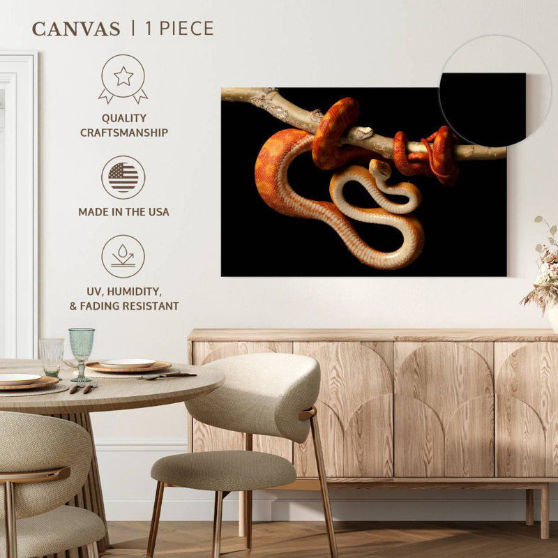 Brampt Red Tailed Boa, 20" H x 30" W