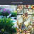 Trellis Window Film 24" x 36"