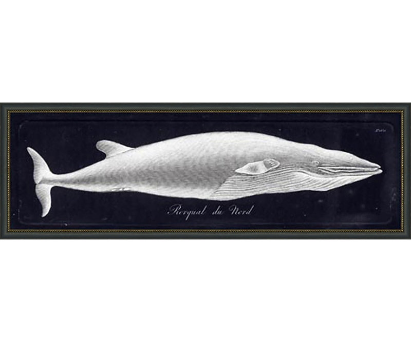 Rorqual Du Nord Painting