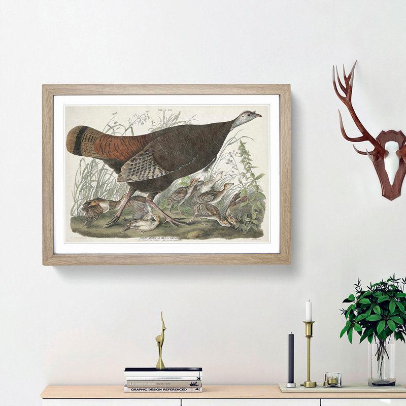 Great American Hen by John Audubon - Picture Frame Painting Print, 36cm H x 48cm W x 2cm D, Oak Framed