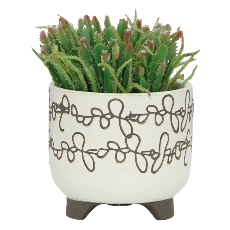 Pot à fleurs en céramique 6/8 po, beige - idéal pour les plantes de terrarium