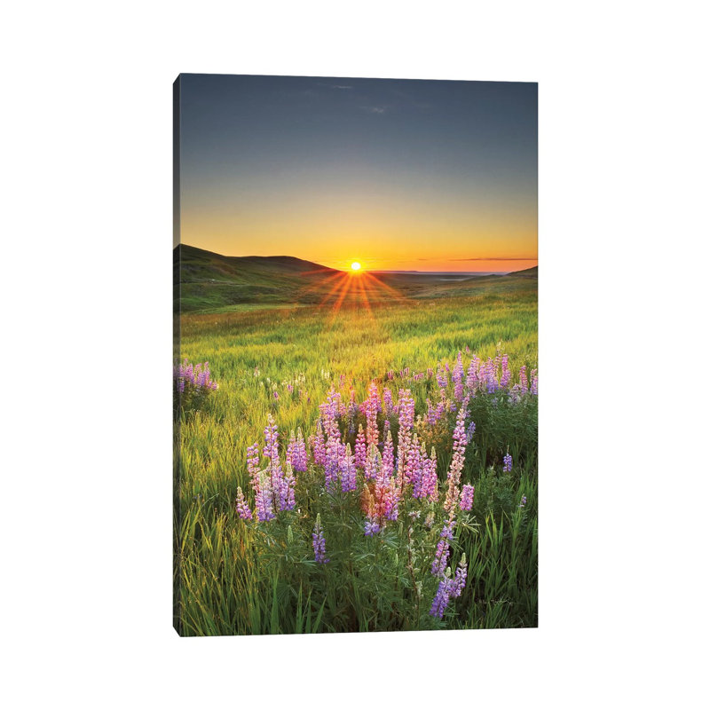 Prairie Sunrise par Alan Majchrowicz - photographie sur toile tendue, H 40 po x l 26 po x P 1,5 po