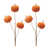 Orange/brun sélectionné