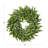 Artificial Ficus Microphylla Front Door Wreath - Lifelike Greenery for Year Round Use - Indoor Wreaths for Front Door-38378223