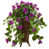 Mauve est en rupture de stock