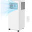 Climatiseur mobile pratique, climatiseur efficace