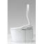 Neorest® Dual-Flush Elongated One-Piece Toilet (Seat Included)-34439863