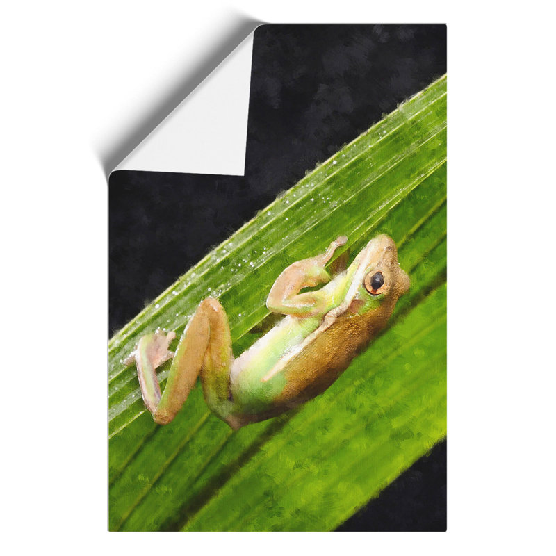 Frog Painting - Frameless Print, 59cm H x 42cm W x 0.1cm D