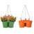 Vert pomme / tangerine