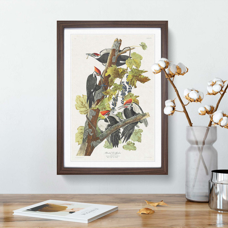 Pileated Woodpeckers by John James Audubon - Picture Frame Painting Print, 36cm H x 27cm W x 2cm D, Walnut Framed