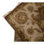 Oriental Area Rug in Brown/Camel