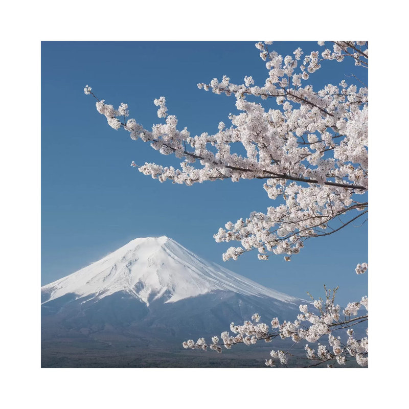 Spring In Japan XXVI by Daniel Kordan - Wrapped Canvas Gallery-Wrapped Canvas Giclée, 30.48 cm H x 30.48 cm W