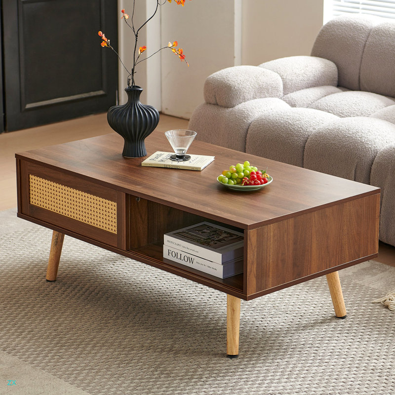 Table basse en rotin PE, porte coulissante pour le rangement, pieds solides, table moderne pour le salon, Noyer