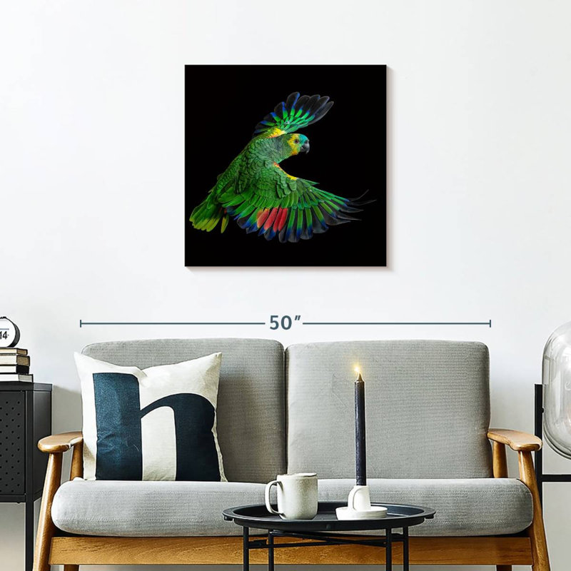 Brampt Flying Parrot, 24" H x 24" W
