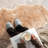 Lechelle Faux Sheepskin Indoor Rug-709461514