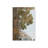 Under the Pine Canvas Print-430694759-430694747