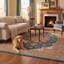 Tapis Willow2 traditionnel à médaillon, style persan, bleu sarcelle, or et crème, lavable à la machine, antidérapant, à poils courts, pour l'intérieur et l'extérieur, adapté aux animaux domestiques, idéal pour le salon, la chambre, la salle à manger, l'entrée, le couloir ou le bureau.-317719169