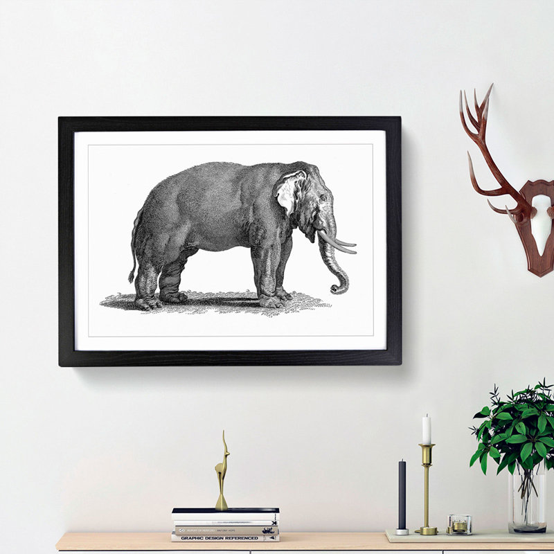 Elephant in Black & White by George Shaw - Picture Frame Drawing Print, 27cm H x 36cm W x 2cm D, Black Framed