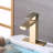 Single-handle Bathroom Faucet with Drain Assembly-100754282