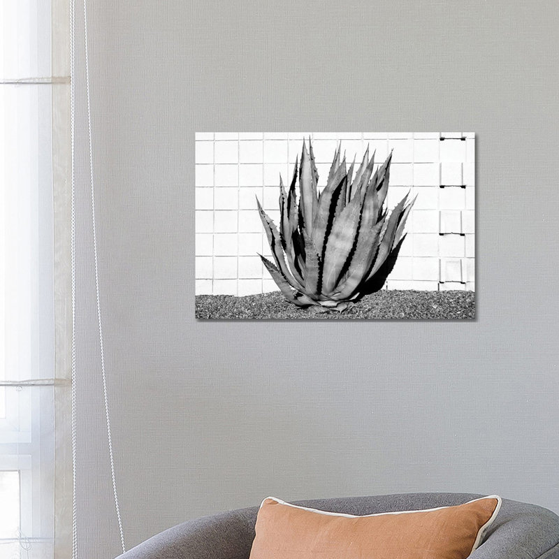 Agave by Philippe Hugonnard - Wrapped Canvas Print, 66.04 cm H x 45.72 cm W x 1.91 cm D