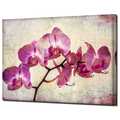 " Painted Petals XVIII " by Tristan Scott
