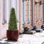 Topiaire artificiel, faux arbuste en pot en plastique noir-728354304-673287581