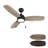 Dezya 52'' Ceiling Fan with LED Lights