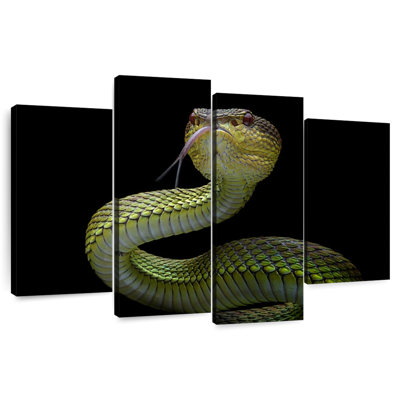 Brampt Venomous Viper
