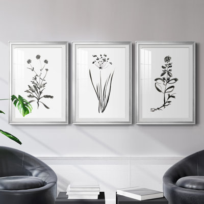 Inky Botanical I - ensemble de 3 reproductions d'art graphique