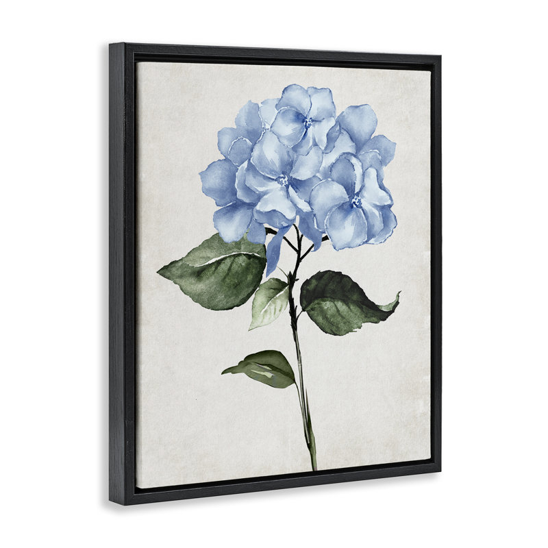 "Blue Hydrangea Stem", art mural Val Val, H 31 po x l 25 po, Cadre flottant noir de jais