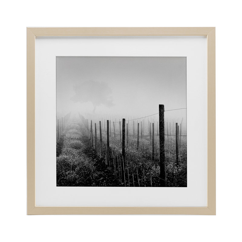 «Vineyard At Dawn», reproduction encadrée sous verre, conception de Chip Forelli, H 16 po x l 16 po, Cadre de récolte en pin