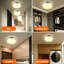 1-Light Flush Mount