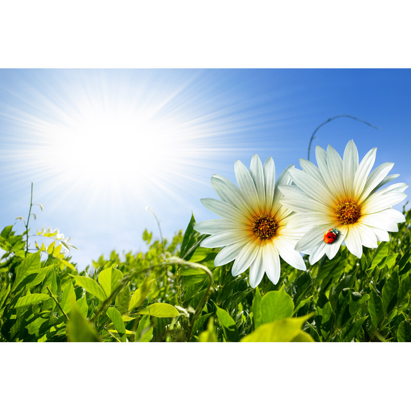 Spring Foliage - Wrapped Canvas Print, 61cm H x 91cm W