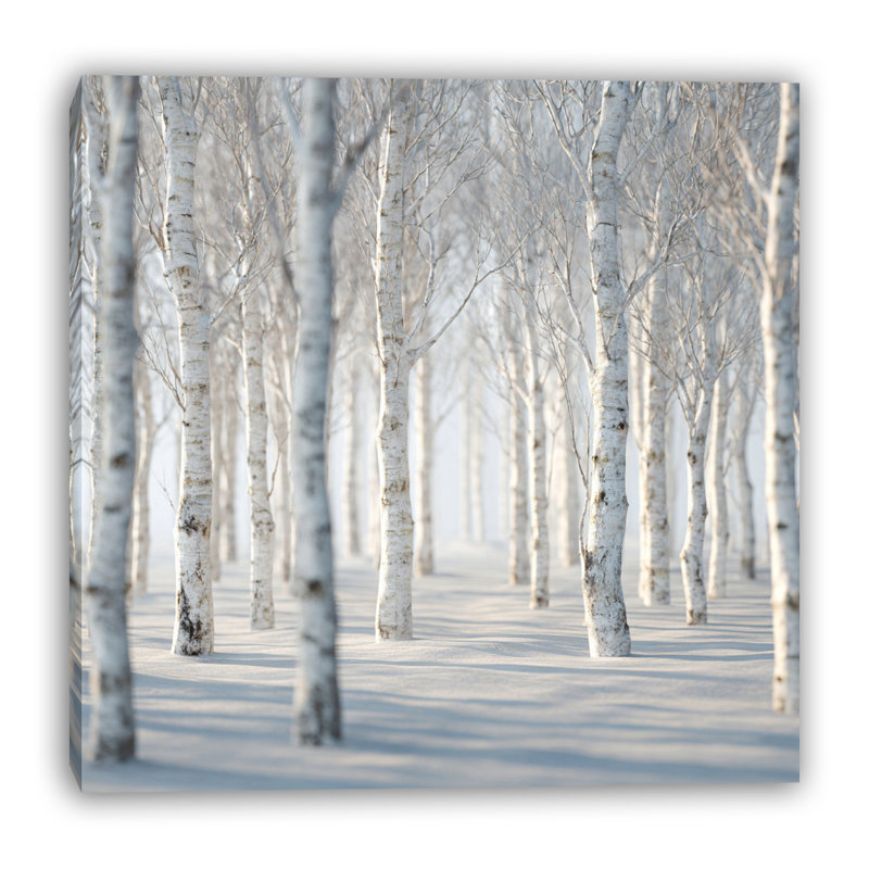 «Winter Birch Grove», art mural sur toile tendue, H 12 po x l 12 po