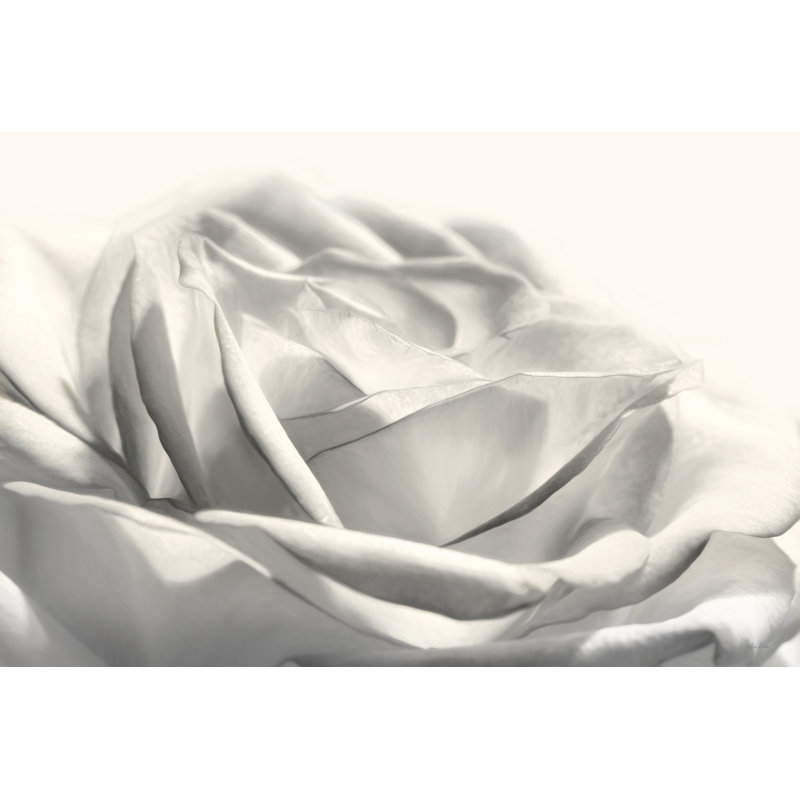 Rose III 2885965, H 12 po x l 18 po, Non, Papier avec cadre photo noyer
