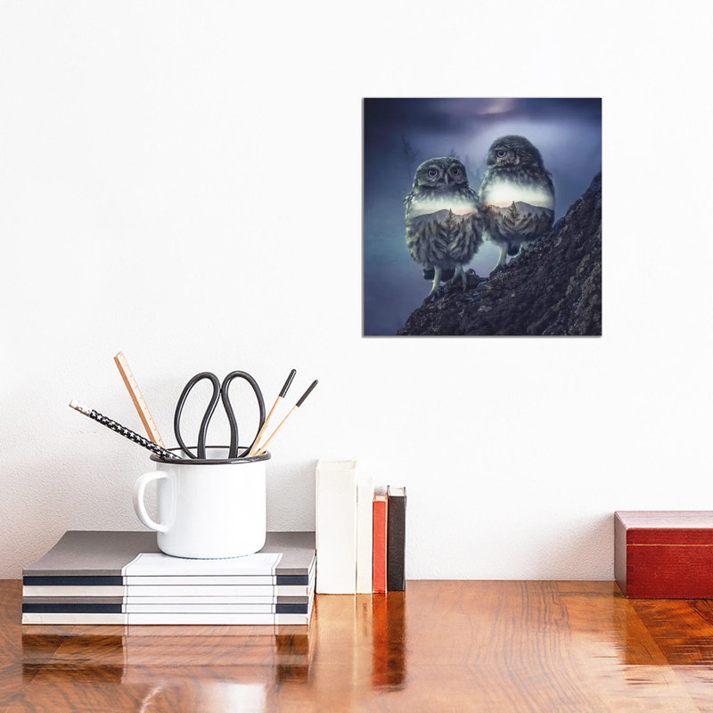 Owl Twins 1 Piece Wall Art on Canvas, 30.48 cm H x 30.48 cm W, Wrapped Canvas