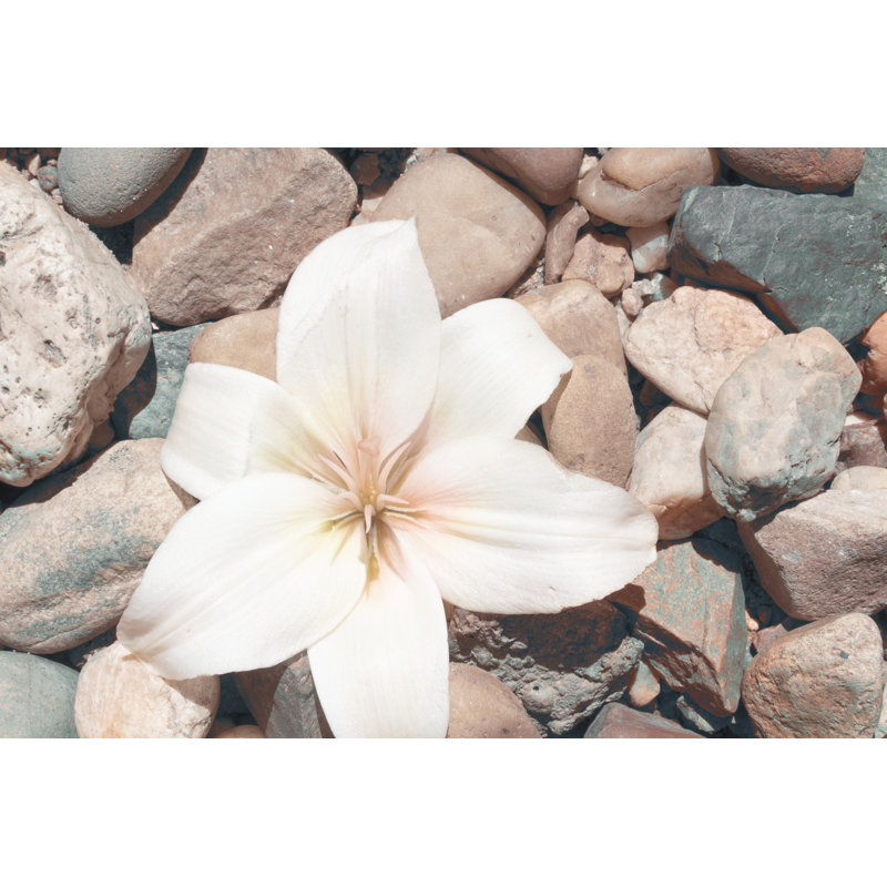 Pebble Beach I by Jason Johnson - Print on Canvas, 81 cm H x 122 cm W, Wrapped Canvas